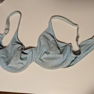 Bali 38 DD summery powder-blue polka dot bra
